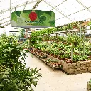 210162_Inuse1.webp